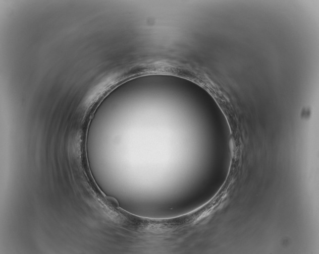 X0000091070341200708131157