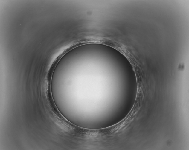 X0000091070342200708131157