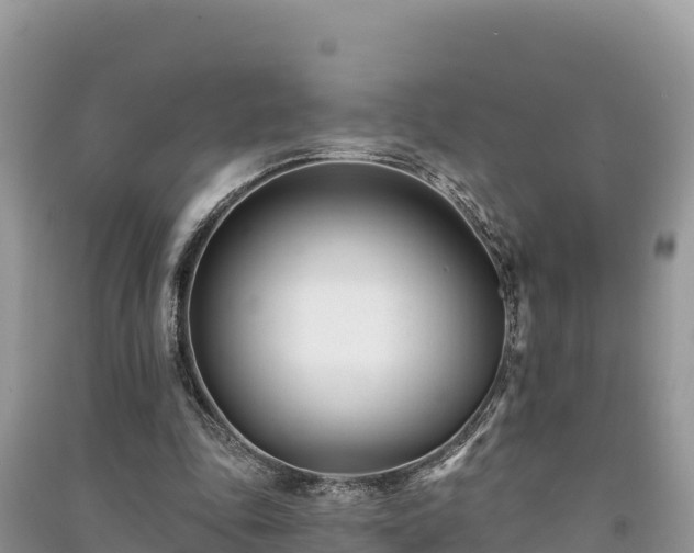X0000091070343200708131157