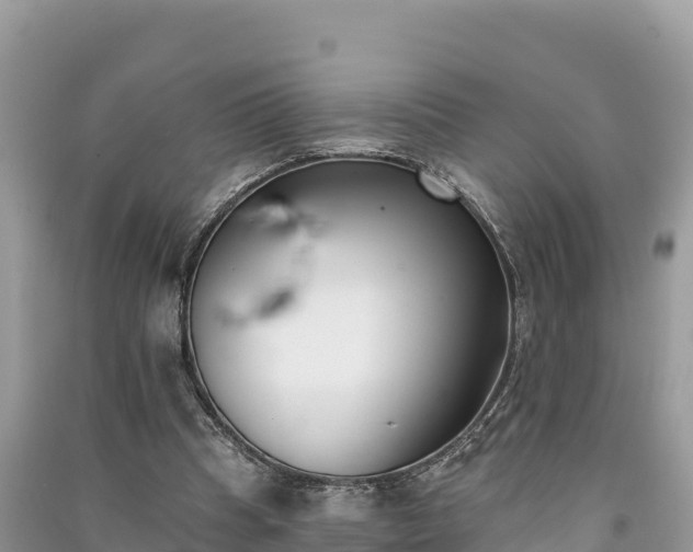 X0000091070345200708131158