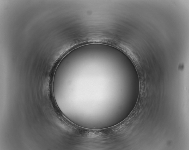 X0000091070346200708131158