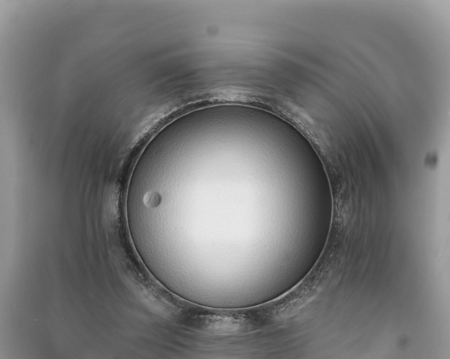 X0000091070347200708131158