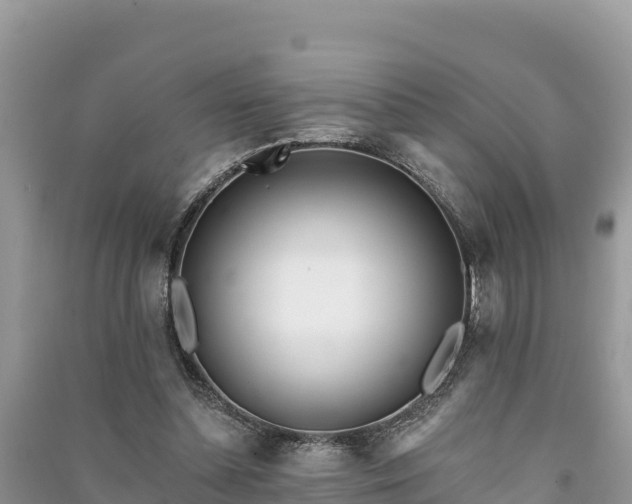 X0000091070348200708131158