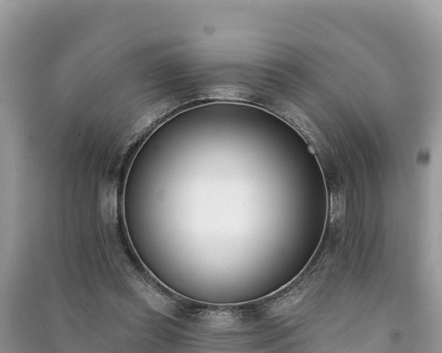 X0000091070349200708131158