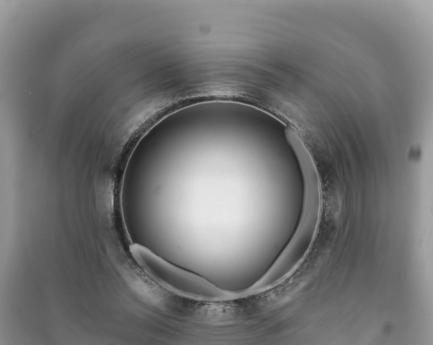 X0000091070350200708131158