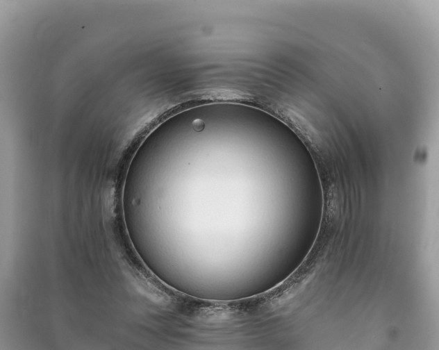 X0000091070351200708131158