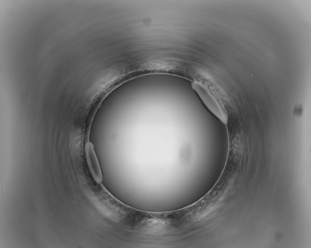 X0000091070352200708131158