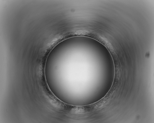 X0000091070354200708131158
