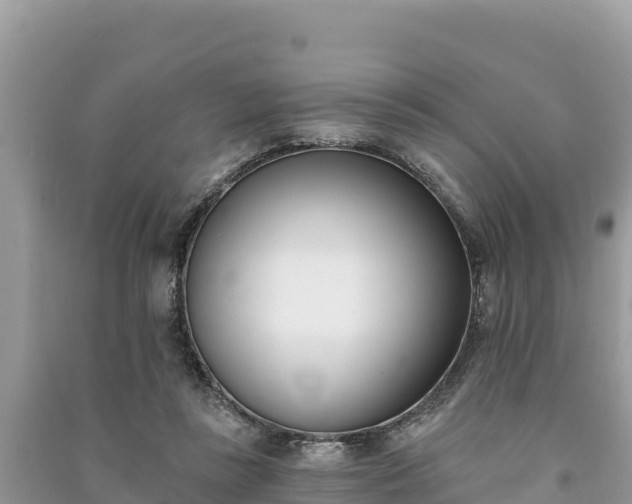 X0000091070355200708131158