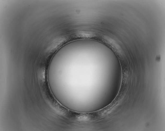 X0000091070358200708131158