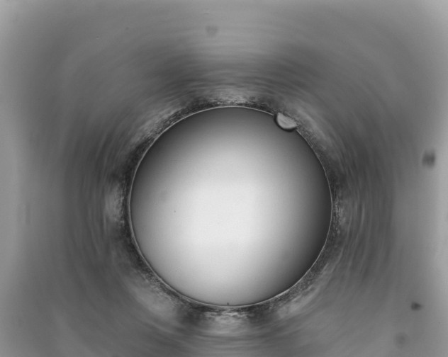 X0000091070359200708131158