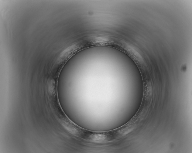 X0000091070361200708131158