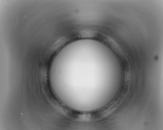 X0000091070362200708131158