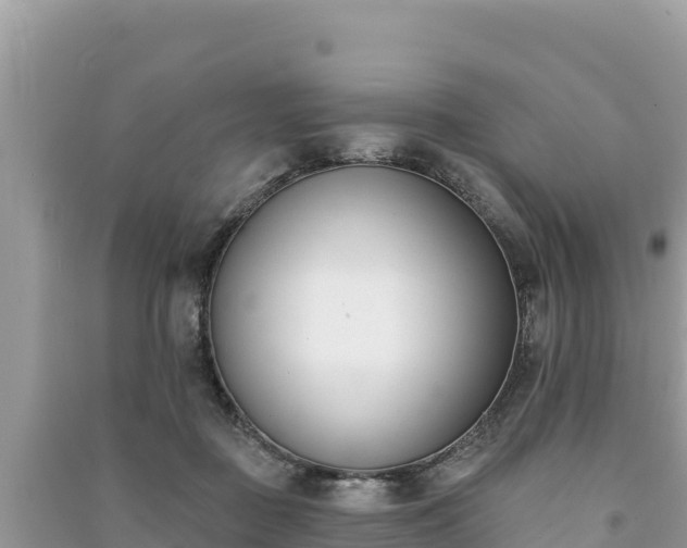 X0000091070363200708131158