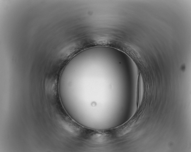 X0000091070364200708131158