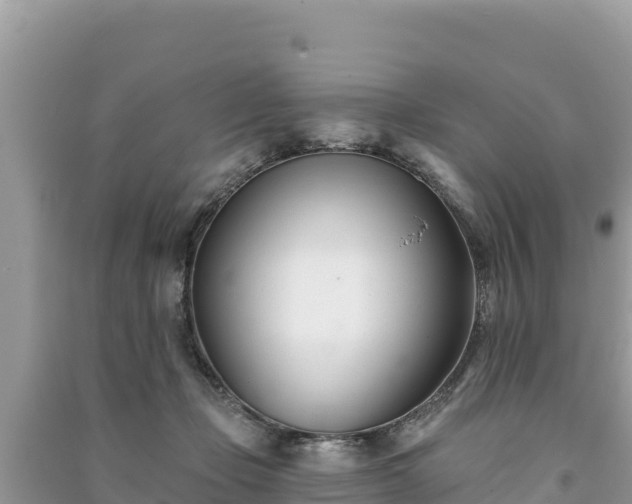 X0000091070365200708131158