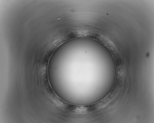 X0000091070369200708131158
