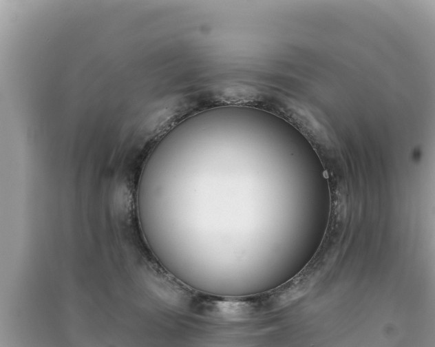 X0000091070371200708131158