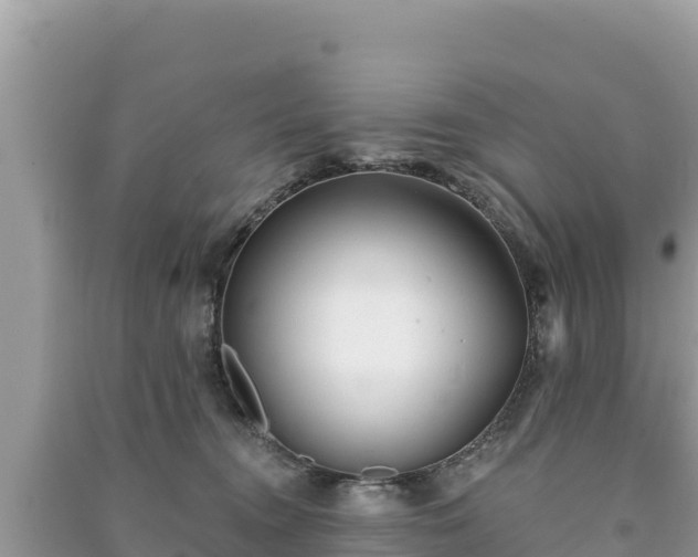 X0000091070372200708131158
