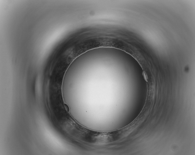 X0000091070383200708131158