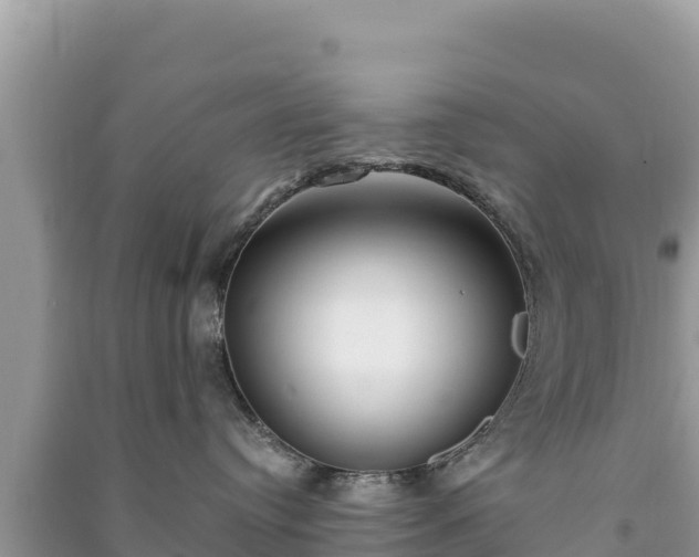 X0000091070384200708131158