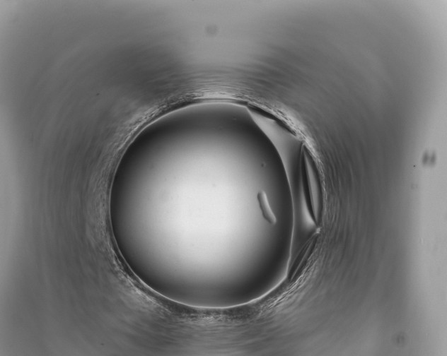 X0000091070385200708131157