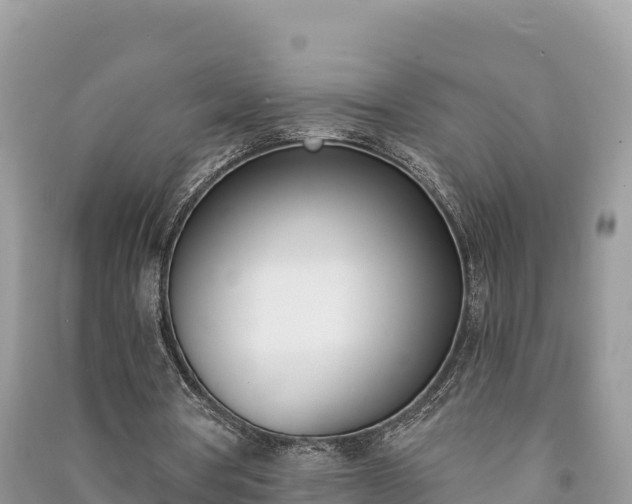 X0000091070386200708131157