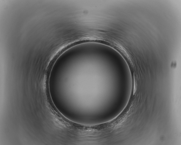 X0000091070387200708131157