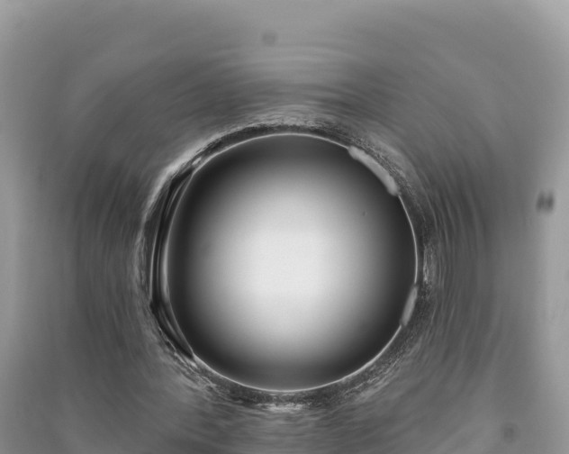 X0000091070388200708131157