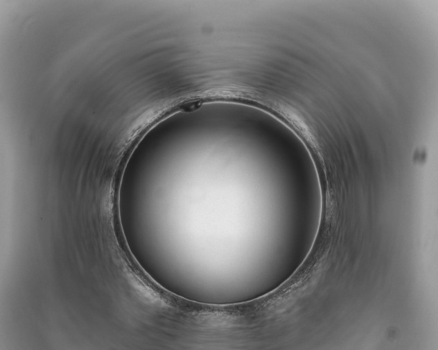 X0000091070389200708131157