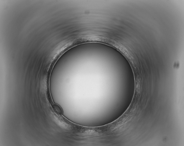 X0000091070390200708131157