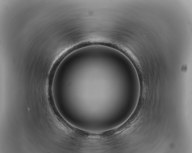 X0000091070391200708131157