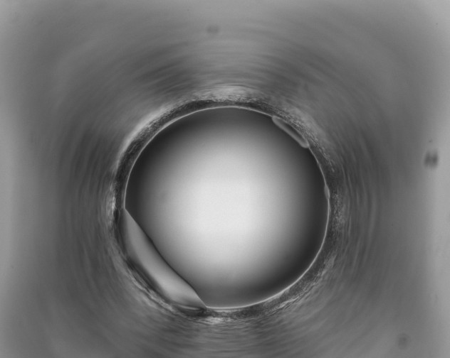 X0000091070392200708131157