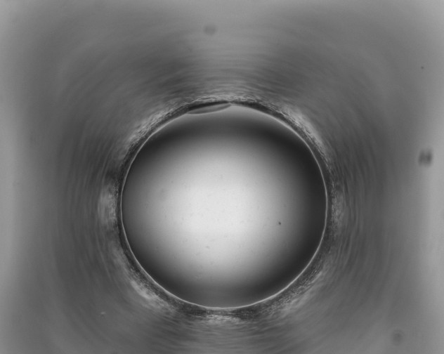 X0000091070393200708131157