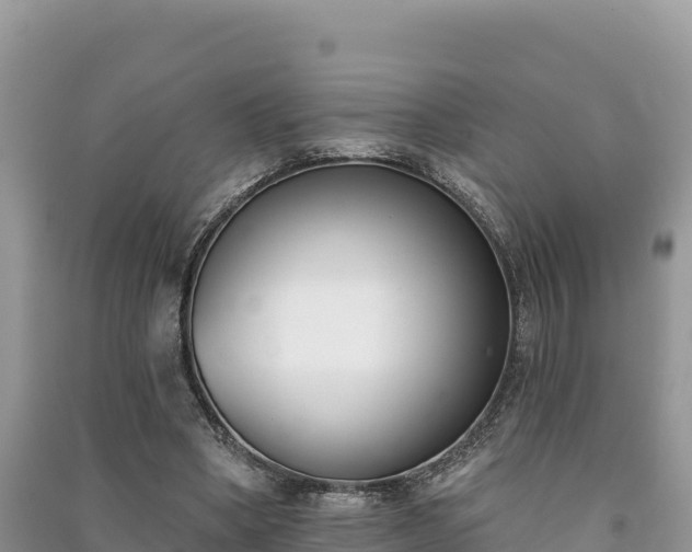 X0000091070394200708131157