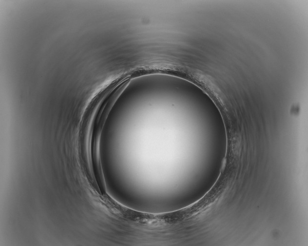 X0000091070395200708131157
