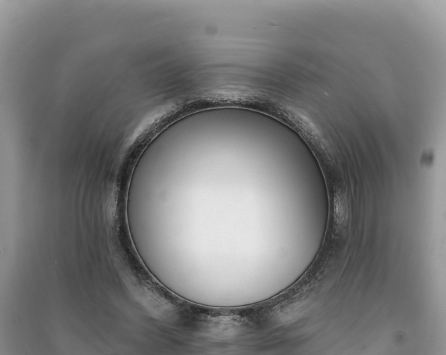 X0000091070396200708131157