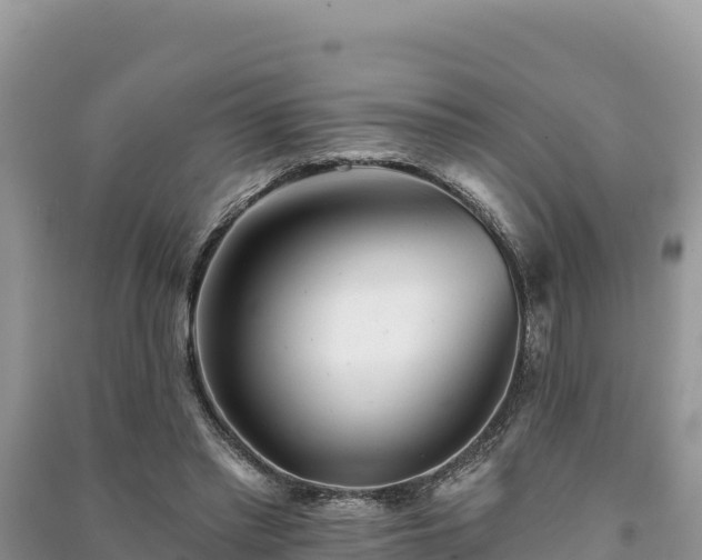 X0000091070397200708131157