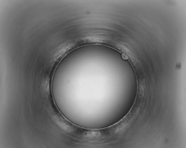 X0000091070398200708131157