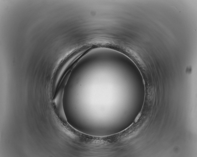 X0000091070399200708131157