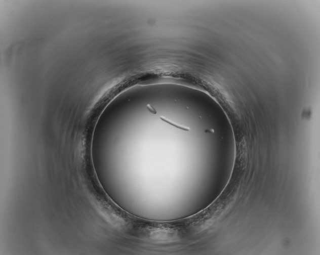 X0000091070400200708131157