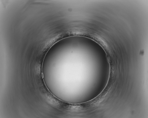 X0000091070401200708131157