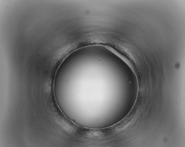 X0000091070402200708131157