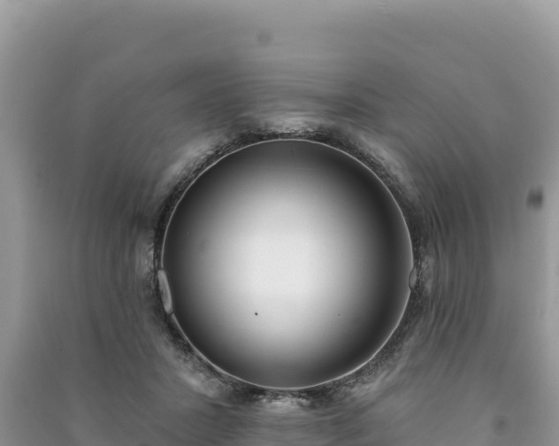 X0000091070407200708131157