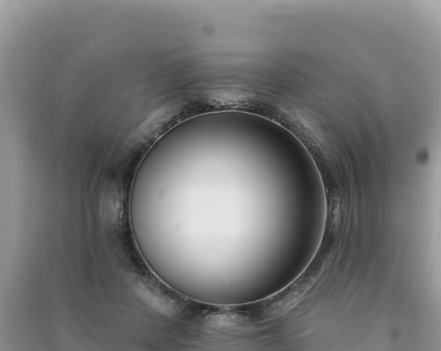 X0000091070408200708131157