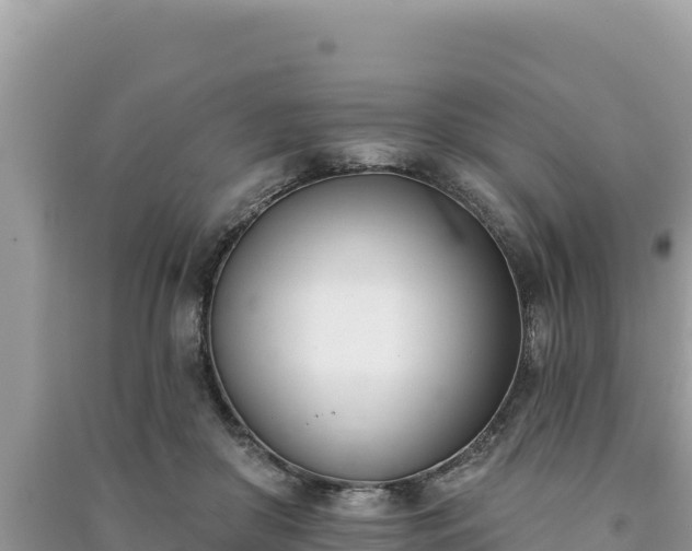 X0000091070410200708131157