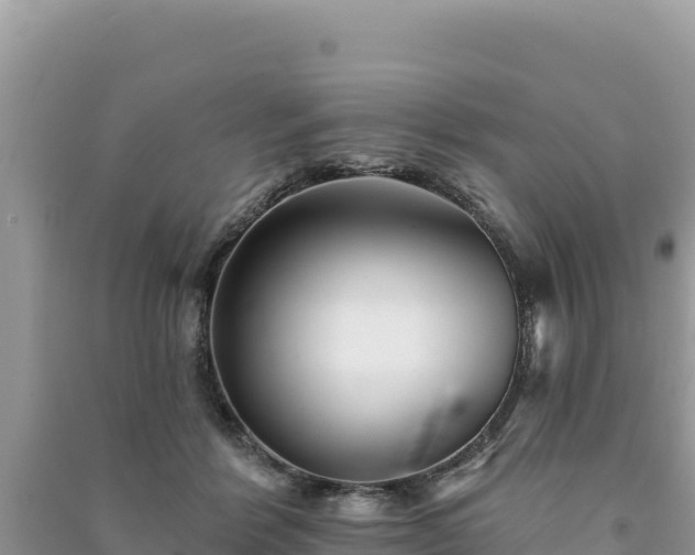 X0000091070412200708131157
