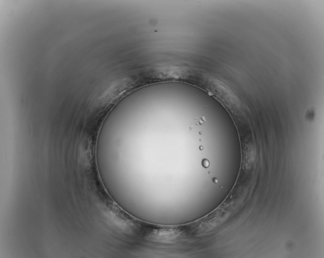 X0000091070414200708131157