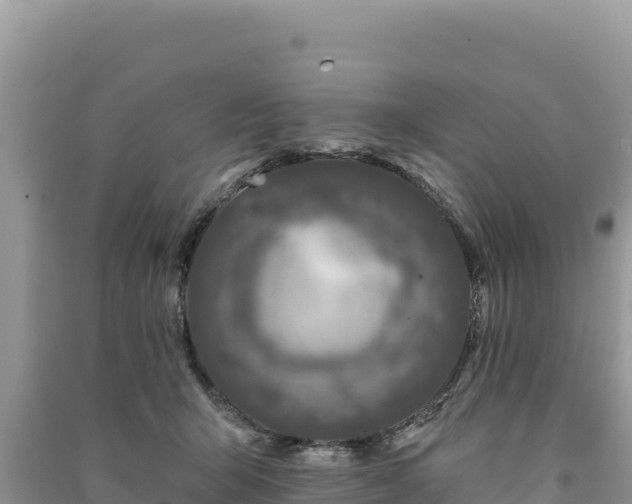 X0000091070415200708131157