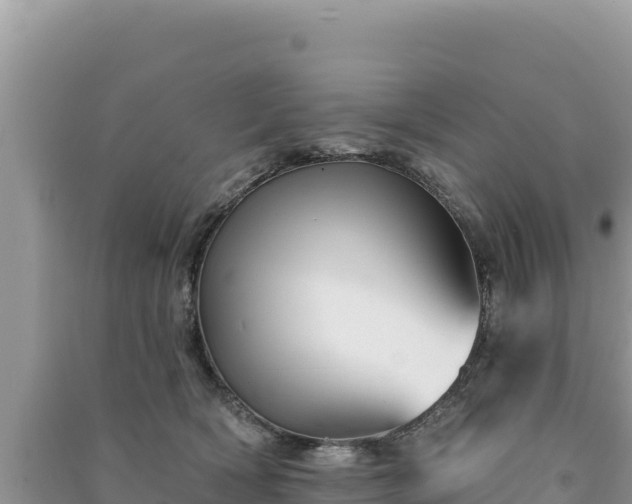 X0000091070418200708131157
